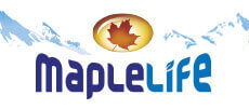 لوگوی برند MapleLife